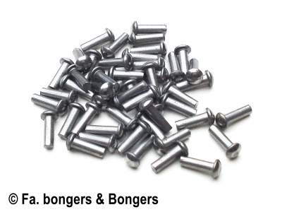 50 bolkopklinknagels blank 2x6 mm