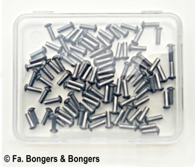 100 bolkopklinknagels blank 2x6 mm