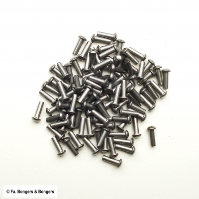 100 bolkopklinknagels blank 2x6 mm