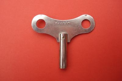 Stalen klok sleutel (sleutelmaat 5,50 mm)