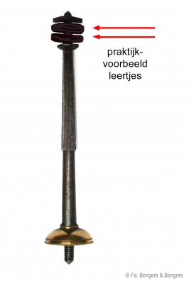 20 stuks belsteunleertjes.