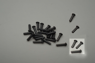  Spoordelen slagwerk, 20 stuks klinknagels, 3x12 mm. 